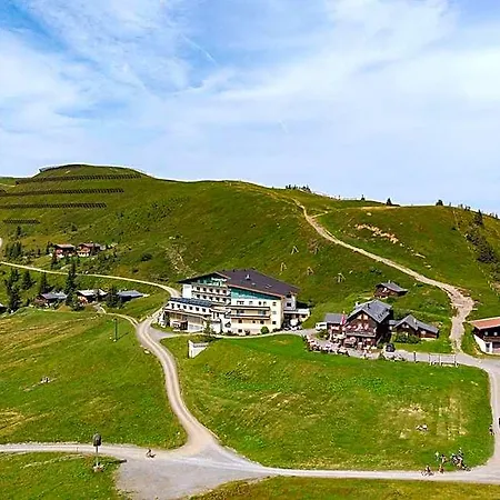 Seidlalm Am Gipfel Saalbachs 酒店